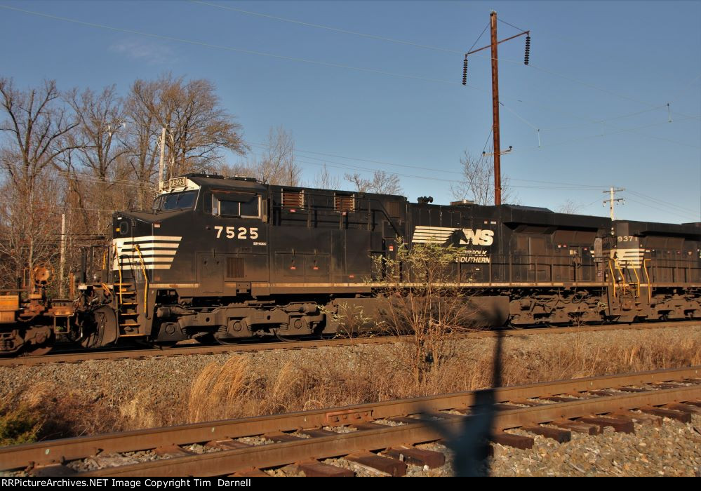 NS 7525